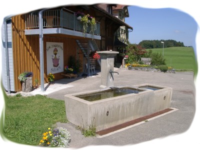 Dorfbrunnen von Mselbach /Schweiz - Foto: Alex Brndle - Mselbach online
